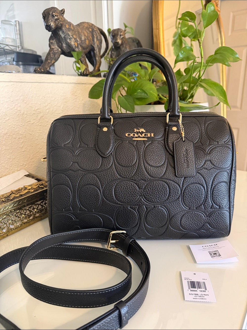 New Large Coach Morgan